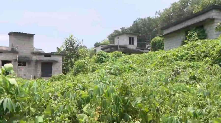 life-house