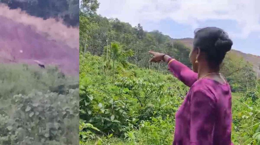 koodal-karimpuli