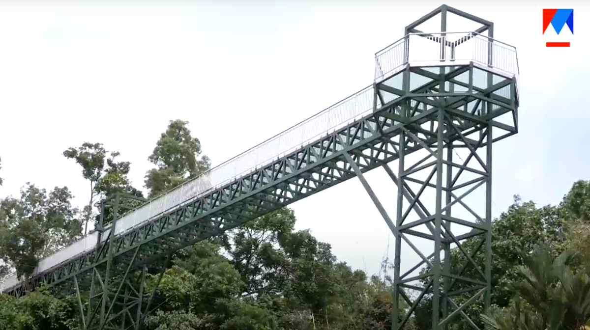 aakkulam-glass-bridge
