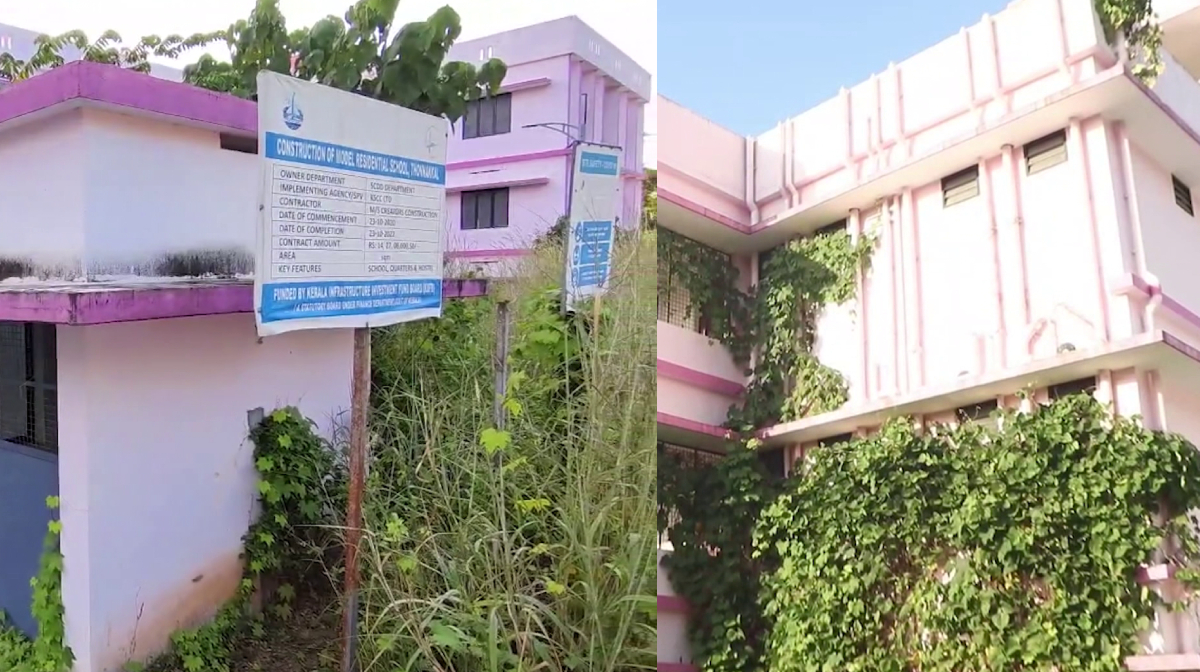 school-building-forest