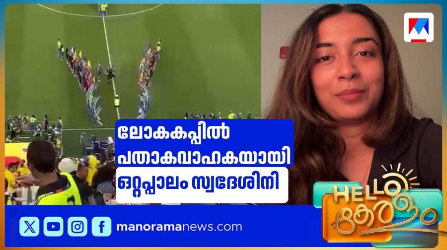 adwaita-worldcup