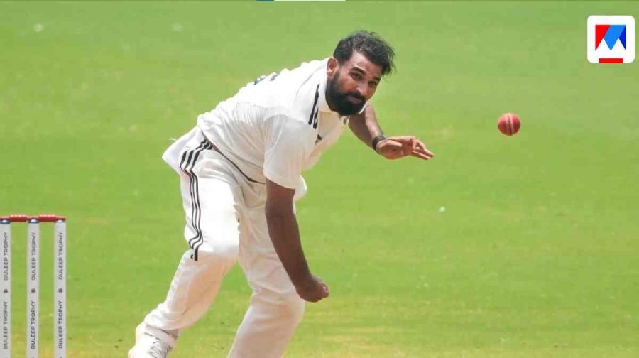cricket-muhammad-shami