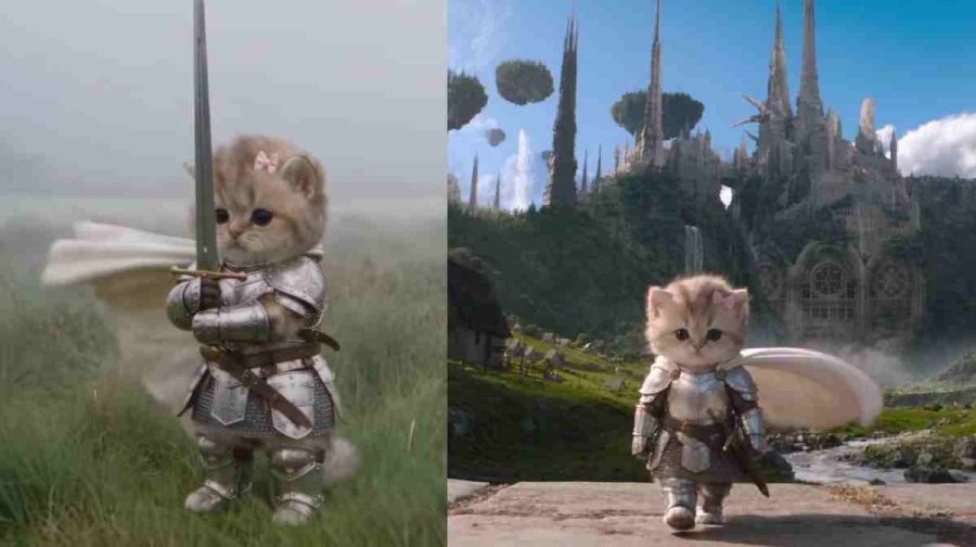 cat-knite