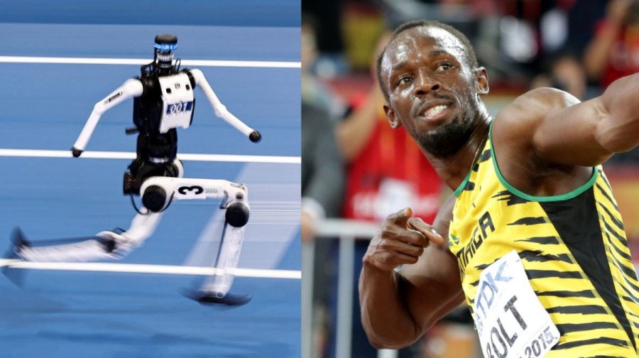 humanoid-robot