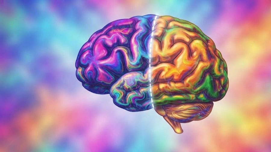 brain-science