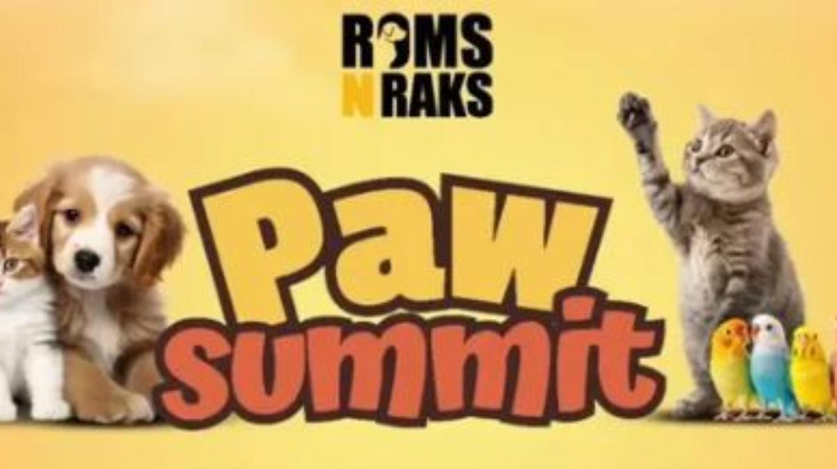 summit-paw