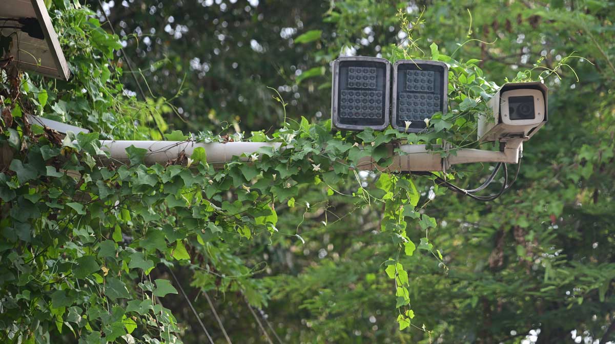 ai-cameraN