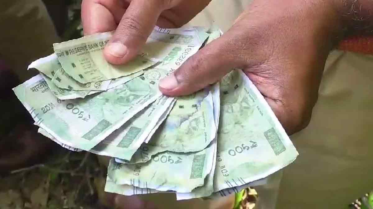 fake-currency fake-currency