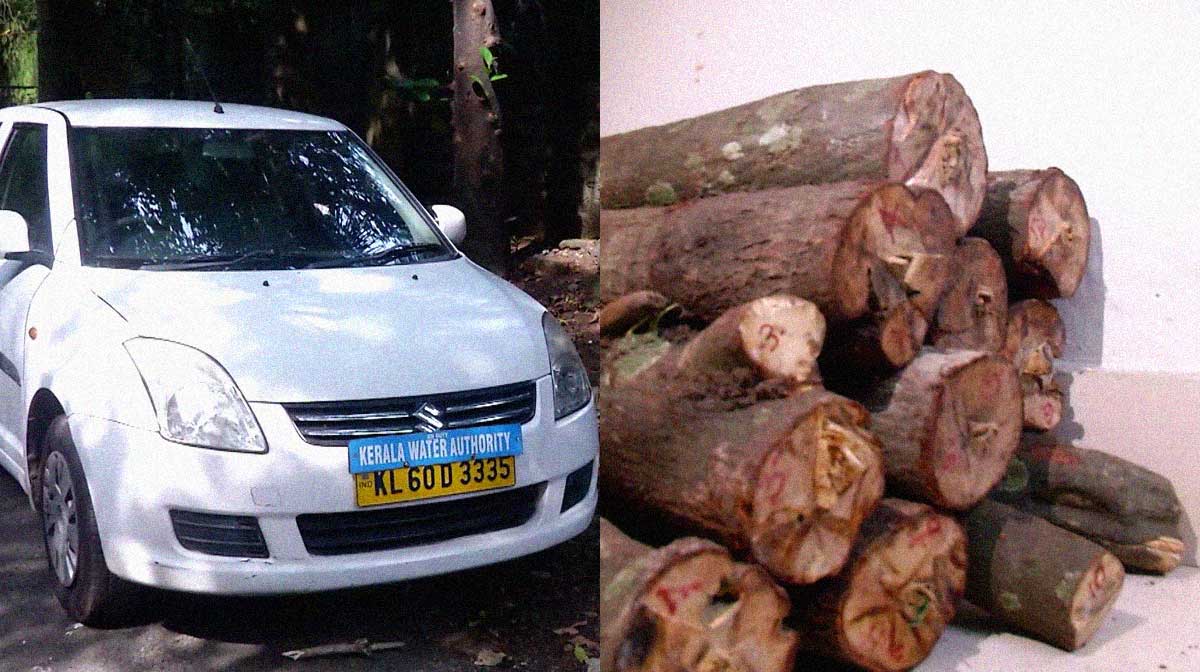 smuggle-sandalwood-in-a-car
