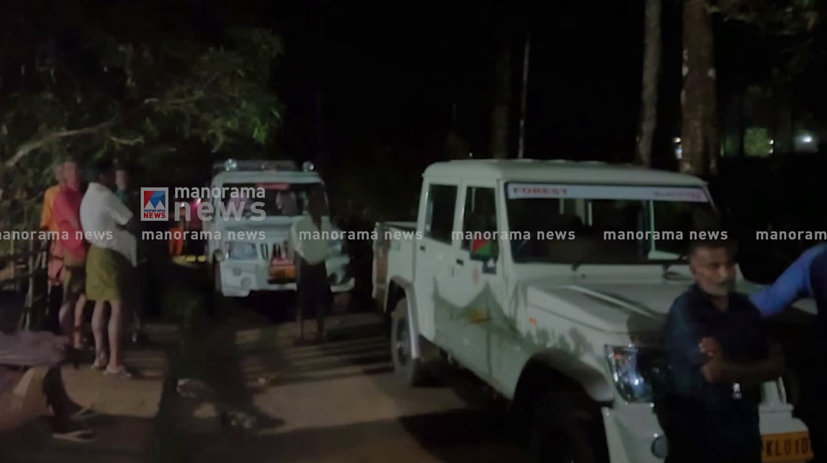 kothamangalam-missing-2