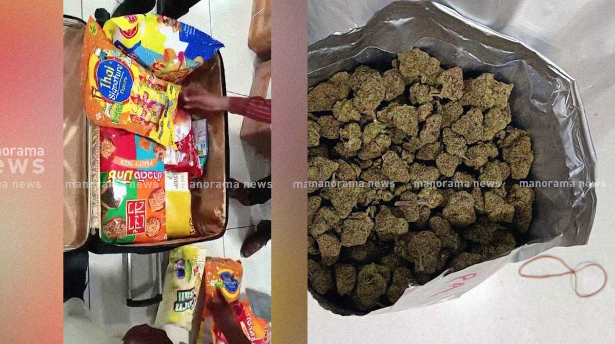 hybrid-cannabis-seized-in-k