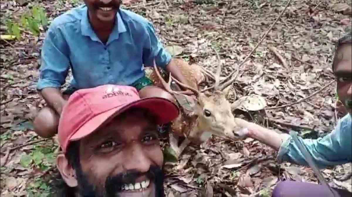 deer-tied-up-case