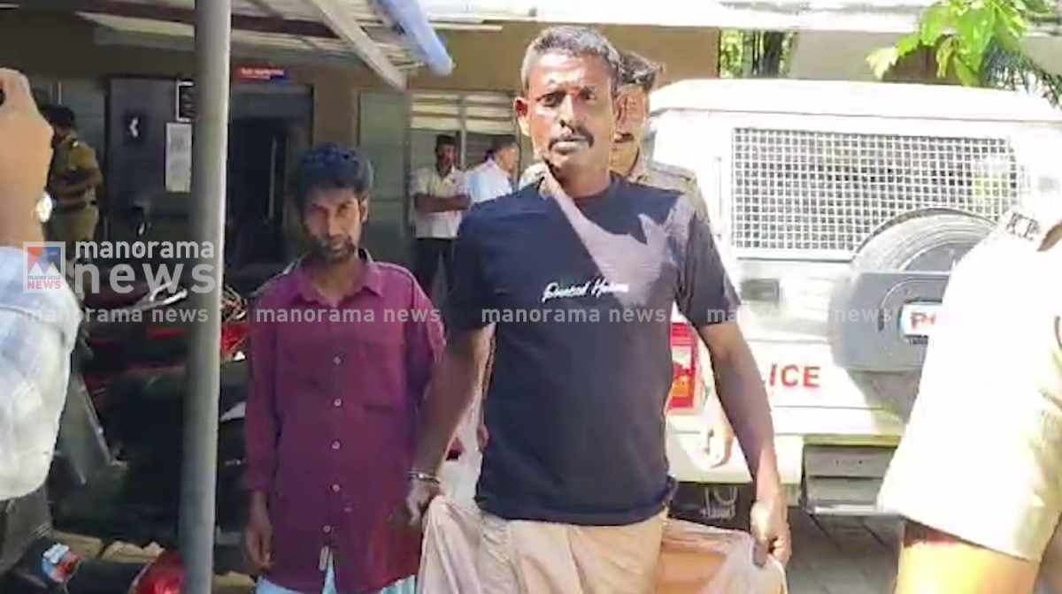 eroor-arrest-3