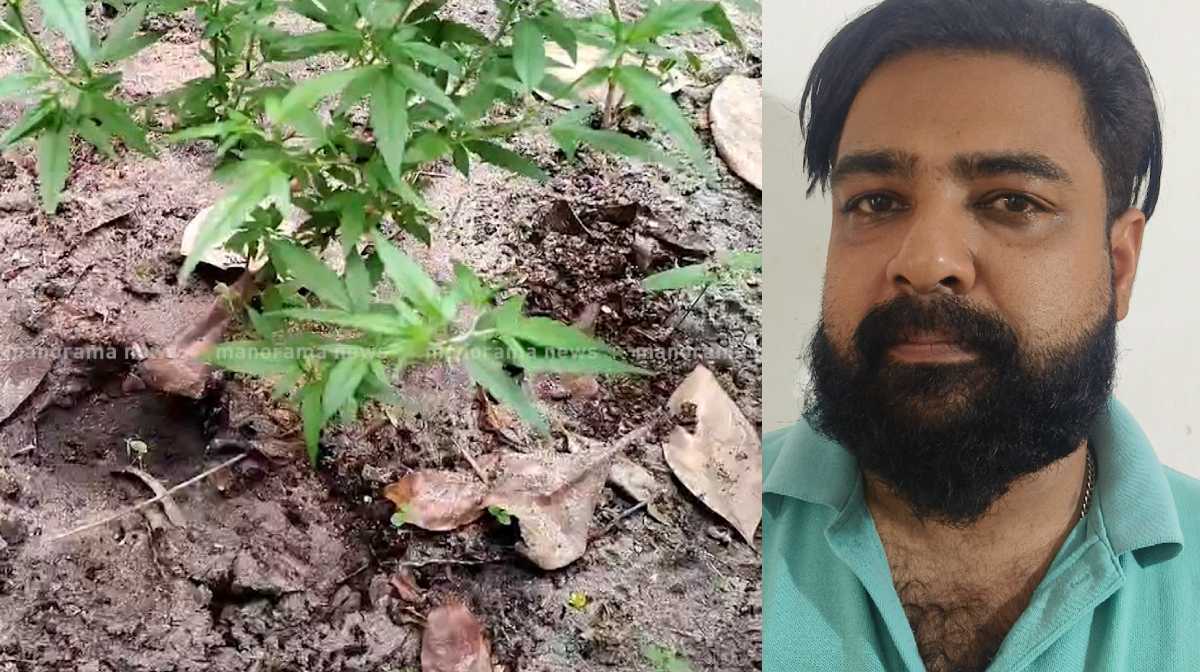 kerala-drug-bust-arrests-1903