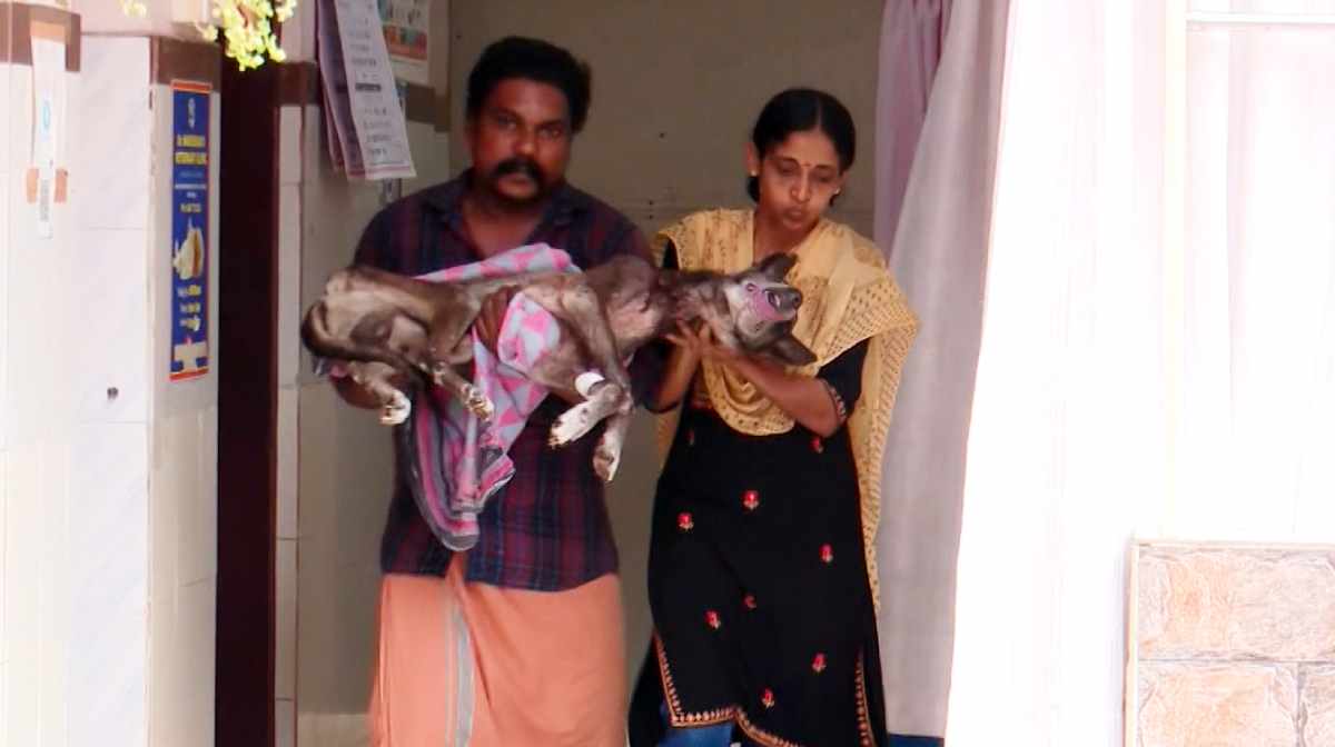 stray-dog-abuse-idukki-case