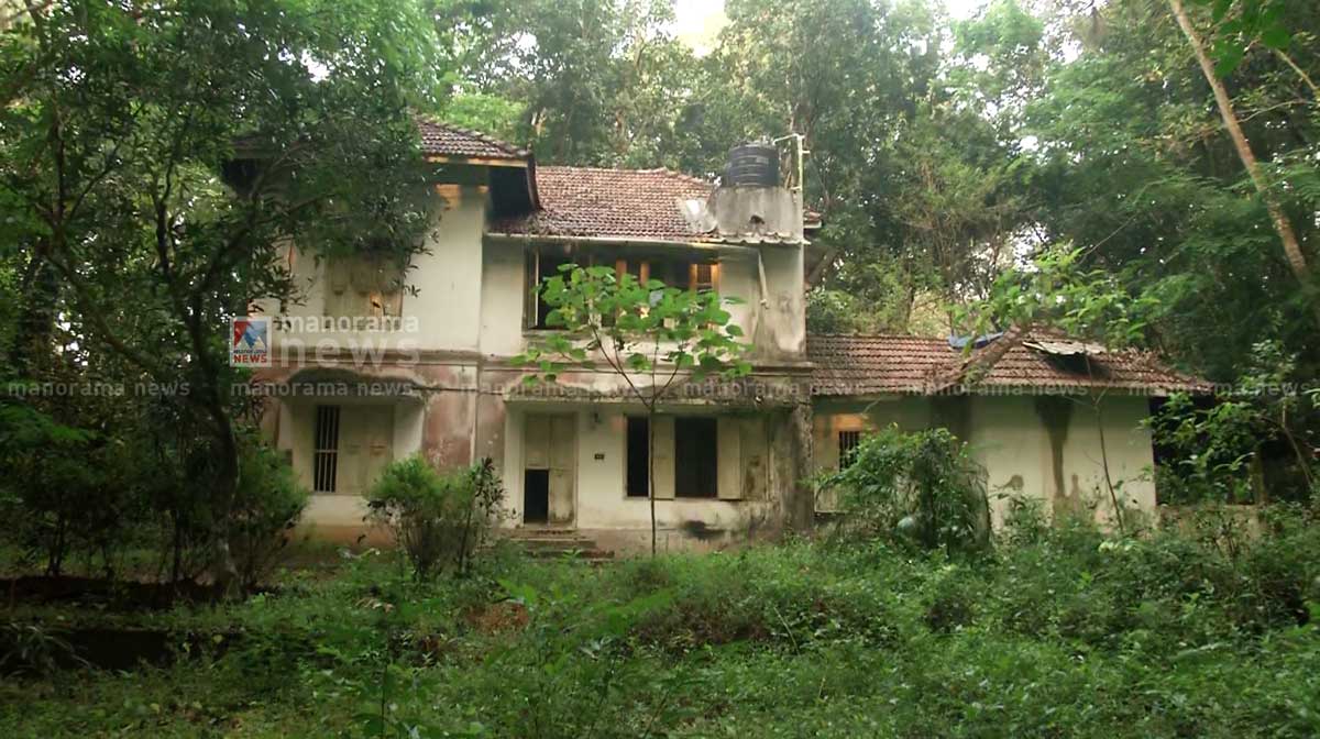 chottanikara-skelton