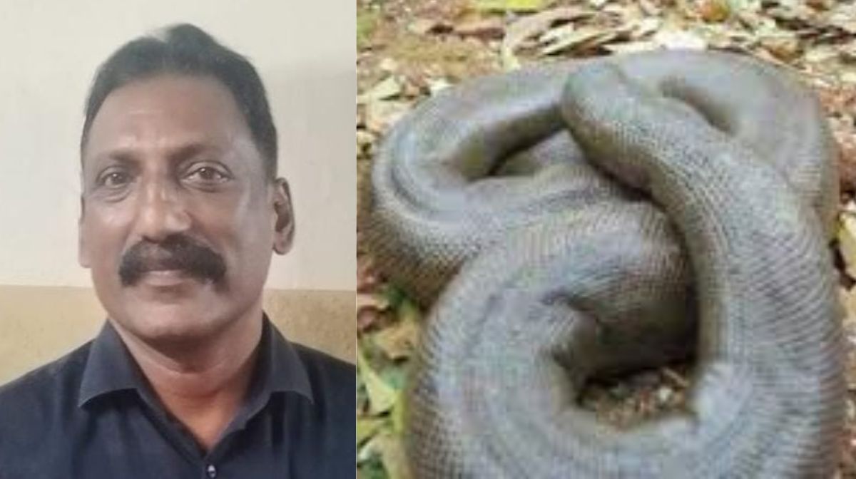 Donated kidneys, corneas, and liver - 1