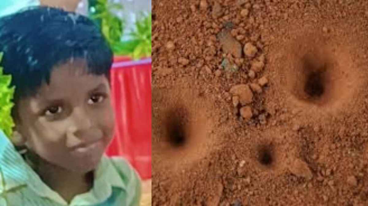 Donated kidneys, corneas, and liver - 1