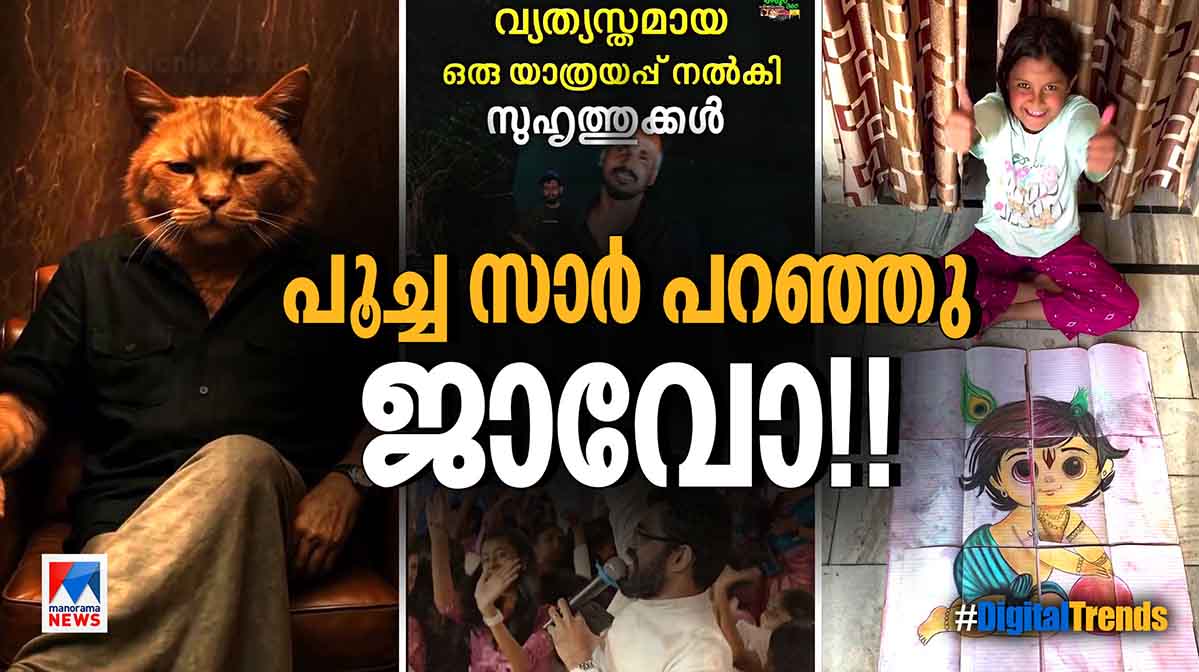 ജാവോന്ന് പറയാന്‍ പൂച്ച സാറും; കല്യാണ വീട്ടിലെ ക്ലാസിക് ഡാന്‍സും