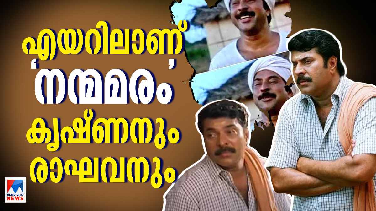 mammooty-troll-rapakal