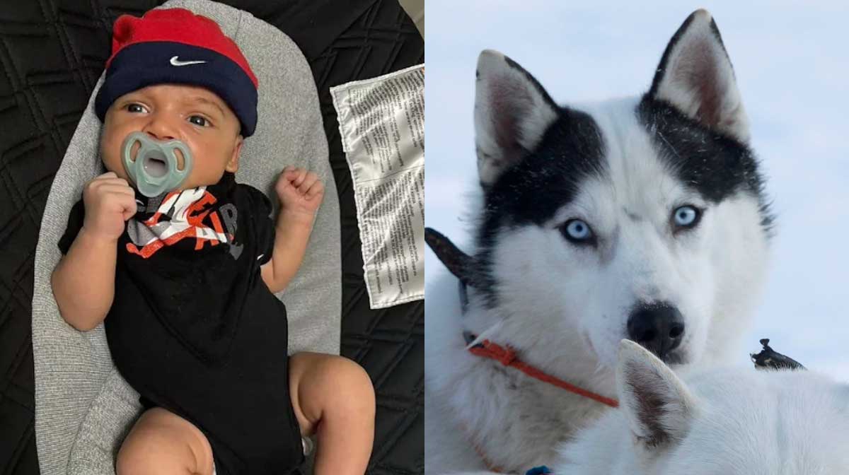 ചിത്രം (X/truecrimeupdat)