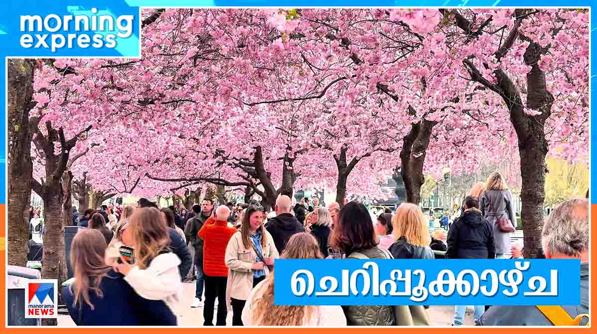 cherryblossom--ME-HD-