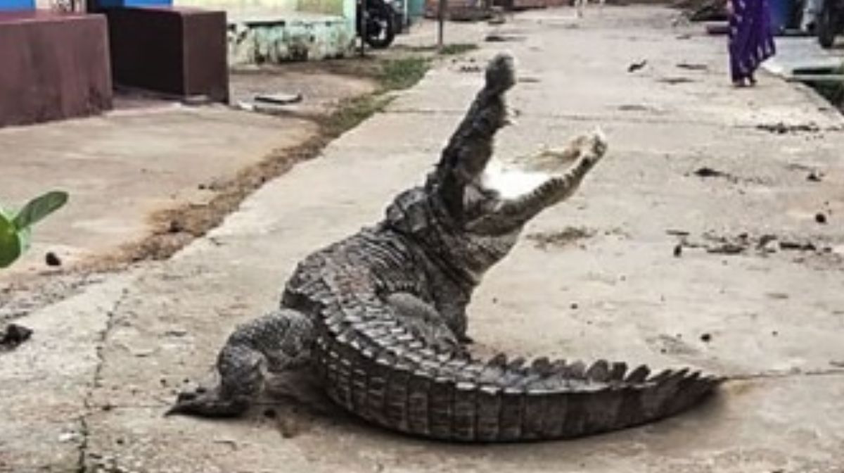 ഹോമിയോയെയും ആയുര്‍വേദത്തെയും തഴഞ്ഞതെന്തിന്? സര്‍ക്കാരിനെതിരെ ഡോ. ബിജു പൊതുജനാരോഗ്യ നിയമത്തിൽ കാലാനുസൃത മാറ്റങ്ങള്‍ വരുത്തി വ്യവസ്ഥ രൂപീകരിക്കാനായി രൂപീകരിച്ച ആരോഗ്യ വകുപ്പിന്‍റെ പ്രത്യേക സമിതിയില്‍ നിന്ന് ഹോമിയോ, ആയുര്‍വേദം എന്നിവയെ തഴഞ്ഞതിനെതിരെ - 1