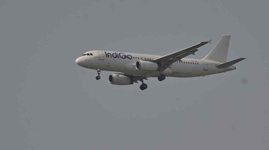indigo-flight
