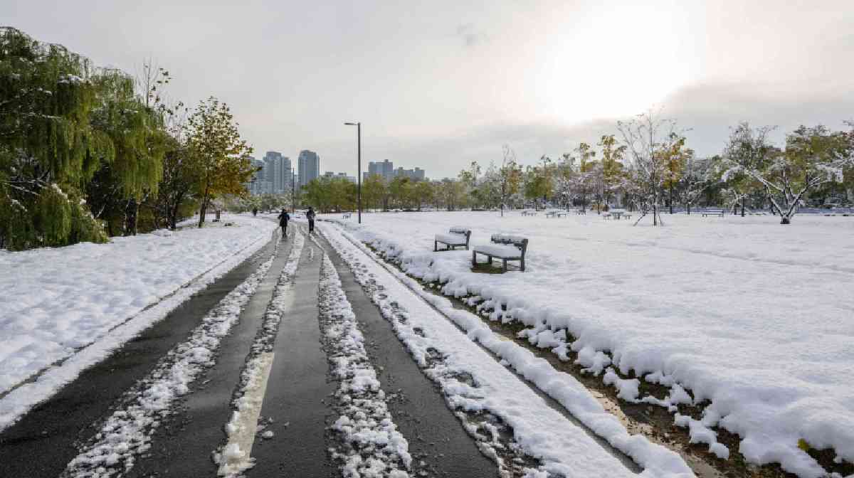 south-korea-snow-fall