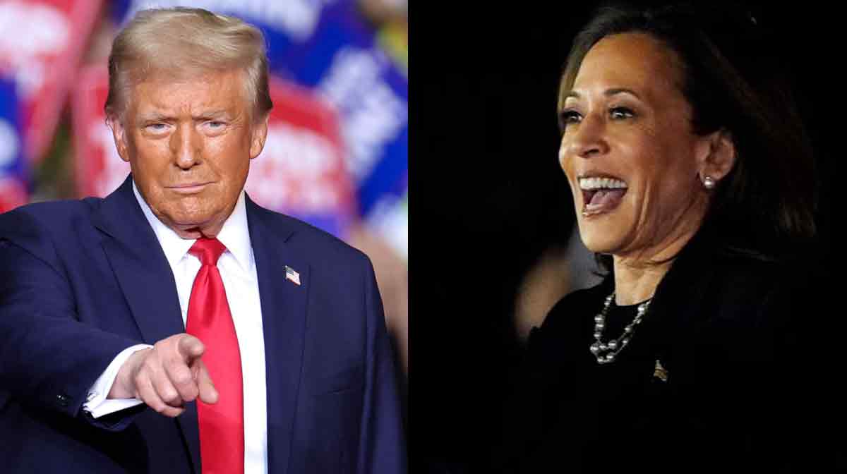us-elections