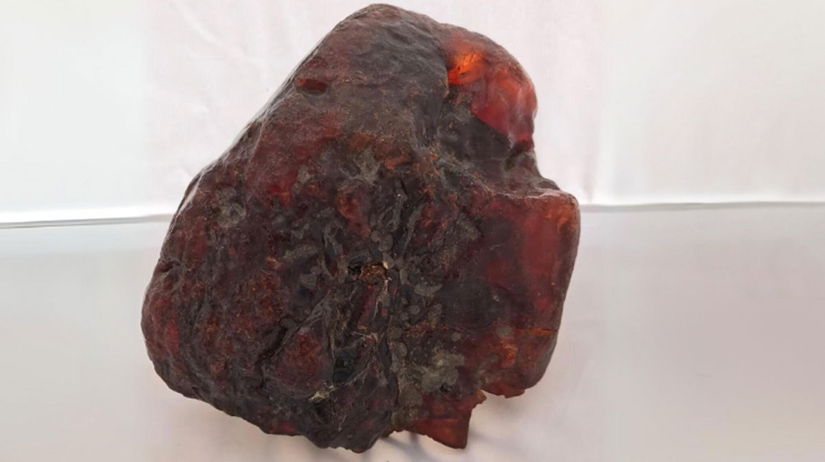 Buzău County Museum