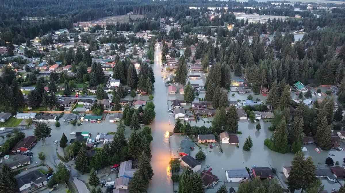 Image: Richard Ross via AP