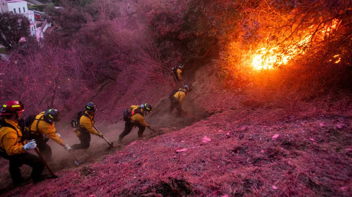 Firefighters work to clear a firebreak as the Palisades Fire, one of several simultaneous blazes that have ripped across Los Angeles County, burns in Mandeville Canyon, a neighborhood of Los Angeles, California, U.S., January 12, 2025. REUTERS