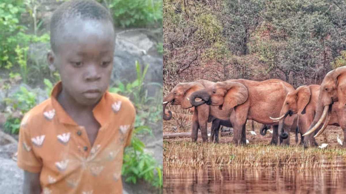 Image Credit: x.com/mutsamu | instagram.com/matusadonanationalpark