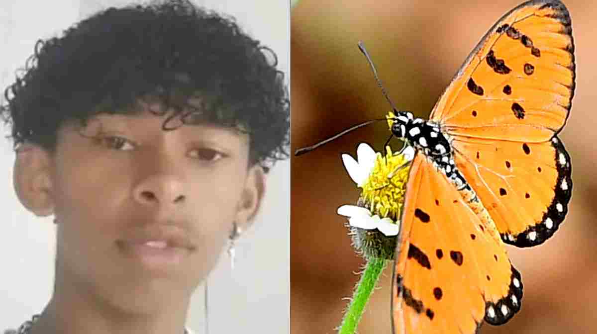 Image Credit:X/BeOutTheMatrix