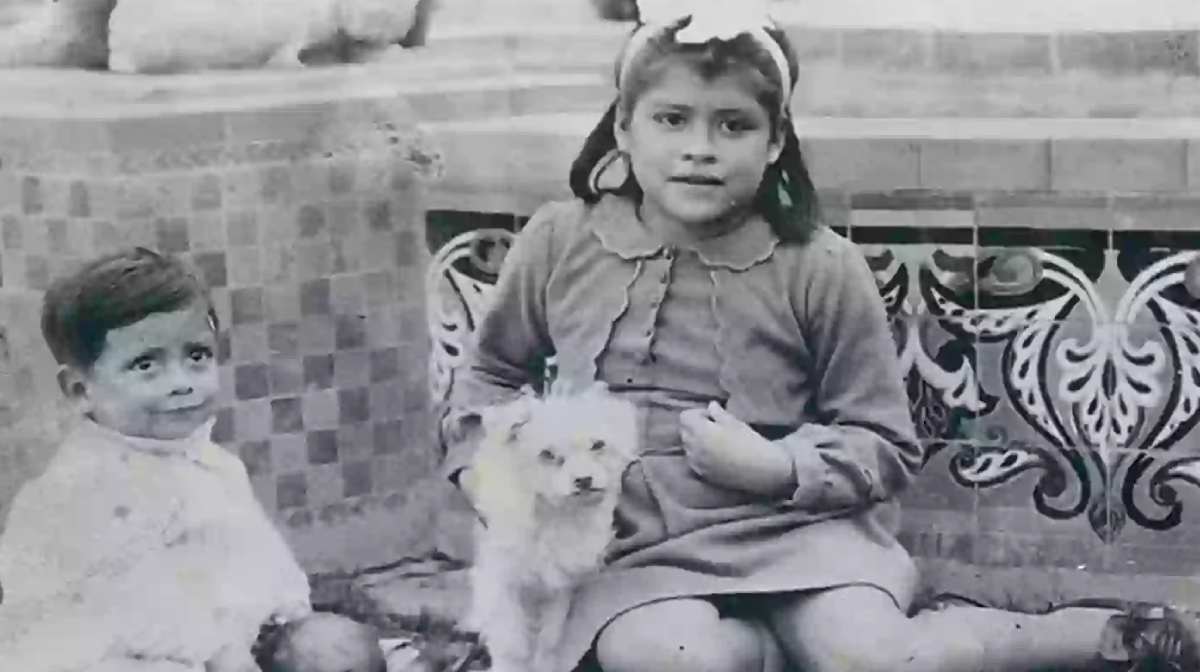 ചിത്രം : Wikimedia Commons