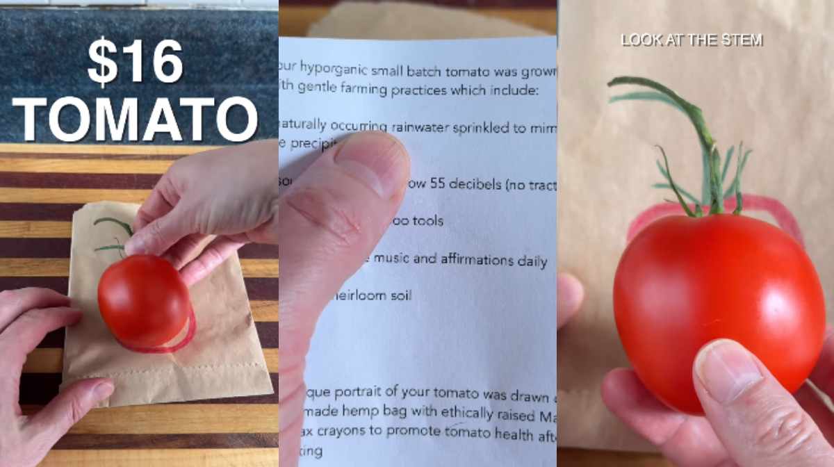 image: instagram.com/yousuckatcooking/