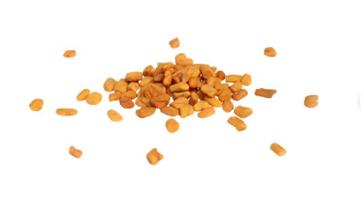 fenugreek-seed