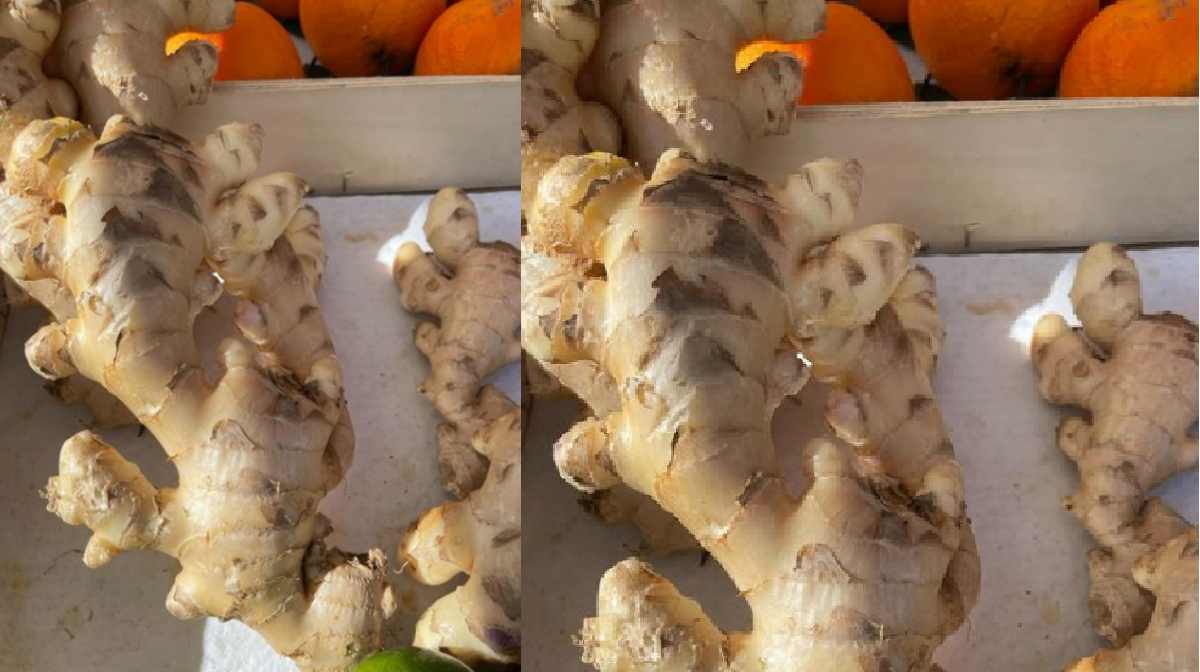 ginger-benefits