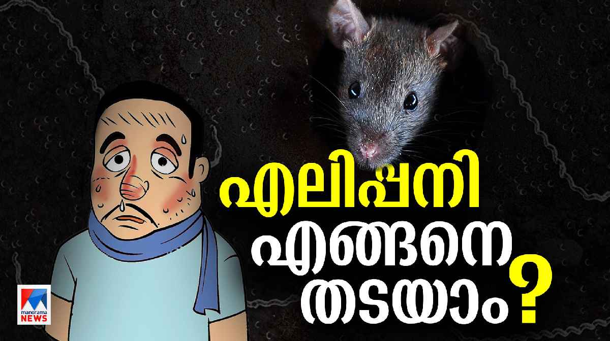 leptospirosis