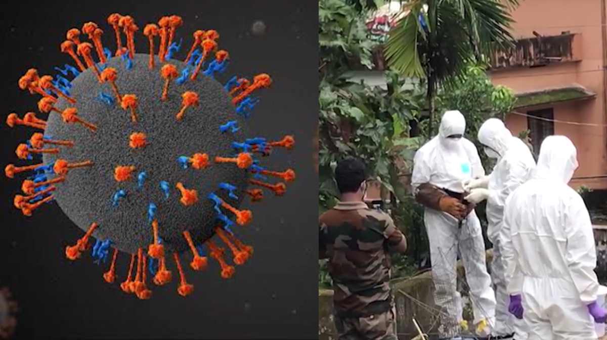 nipah-virus