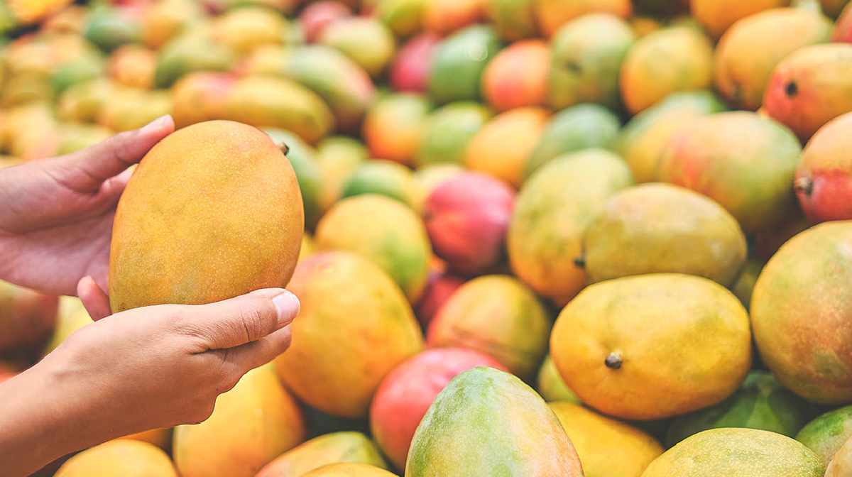 mangoes