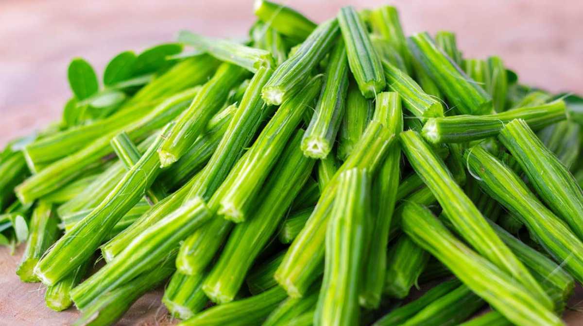 moringa