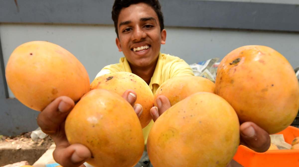 mango-kerala