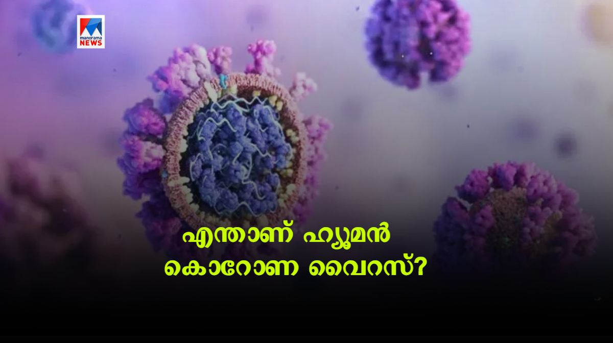 human-coronavirus
