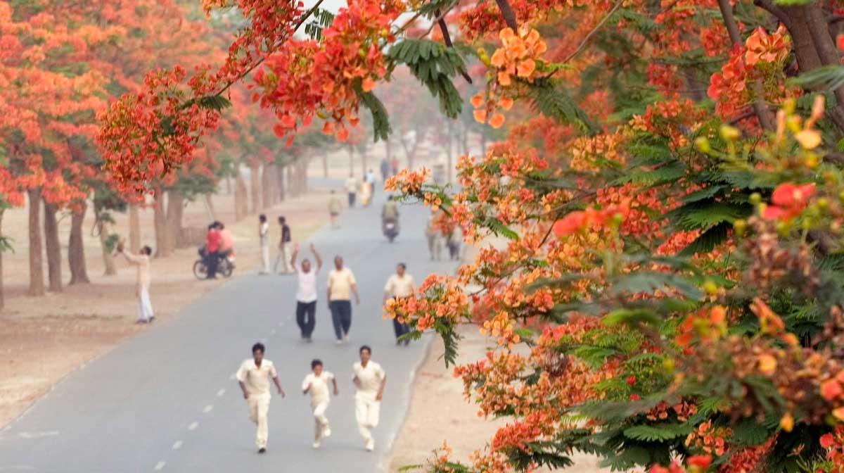 India