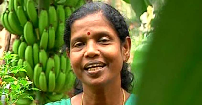 shyamala shyamala