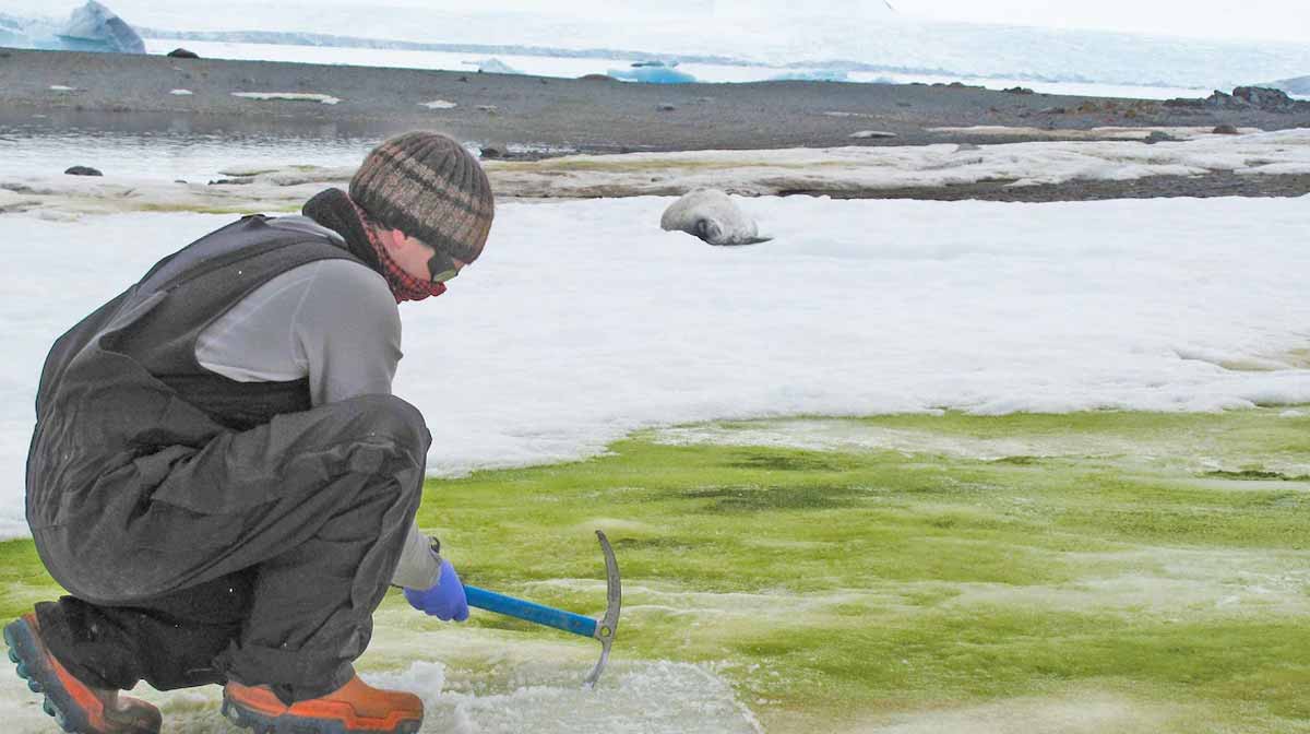 image: universityofcambridge