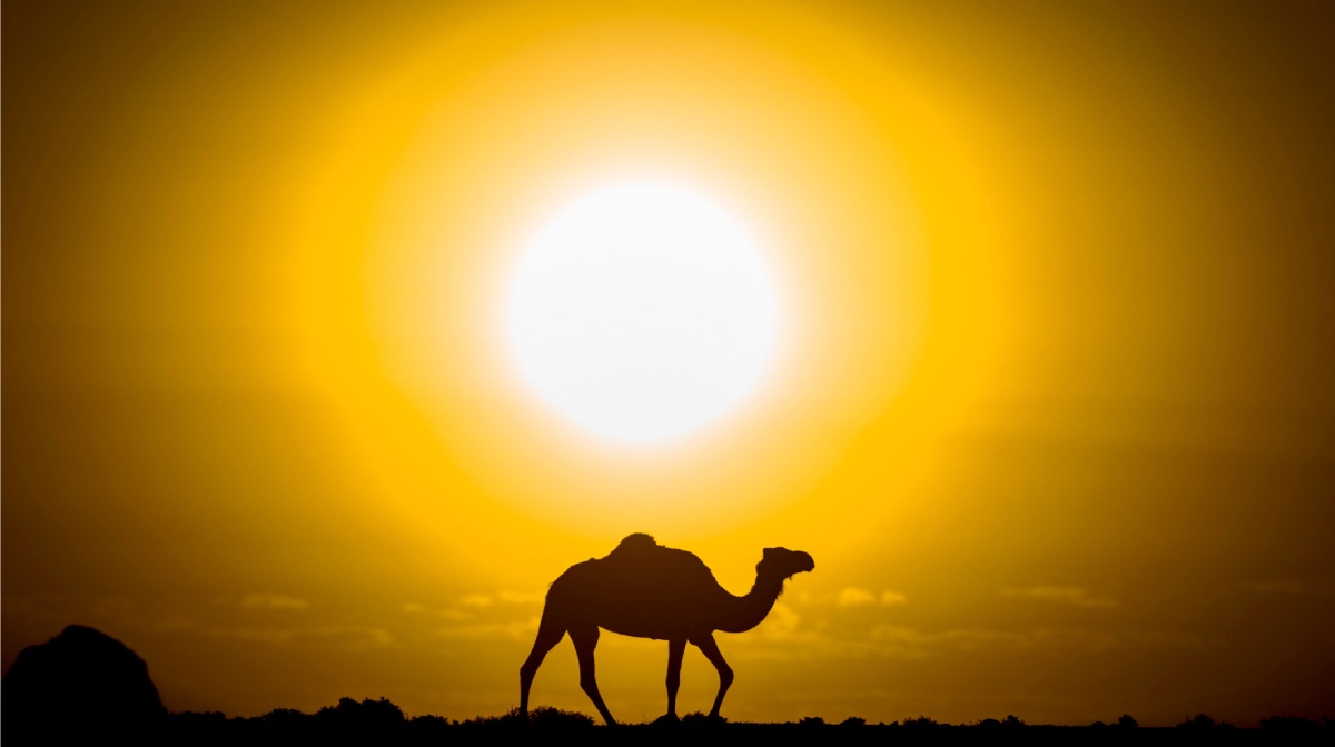 climate-change-desert