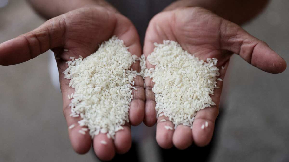 FILE PHOTO: A man compares different grains of rice at a wholesale market in Navi Mumbai, India August 4, 2023. REUTERS/Francis Mascarenhas/File Photo